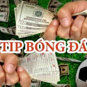 tip-bong-da-la-gi